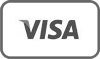 pay with visa