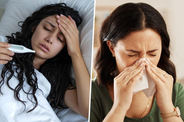 What's the difference between hay fever and a cold?