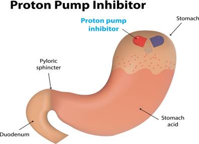 How proton pump inhibitors work