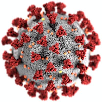 Covid-19 (coronavirus) virion showing the spike proteins in red