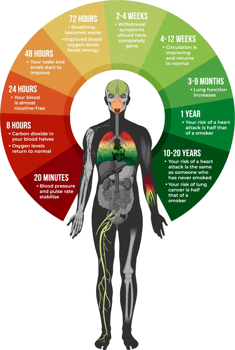 human